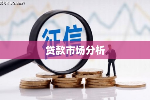 射洪贷款市场分析