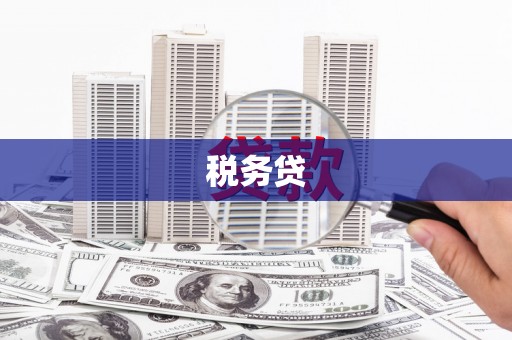 射洪税务贷