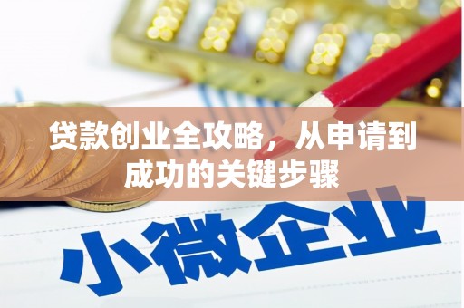 射洪贷款创业全攻略，从申请到成功的关键步骤