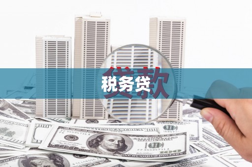 射洪税务贷