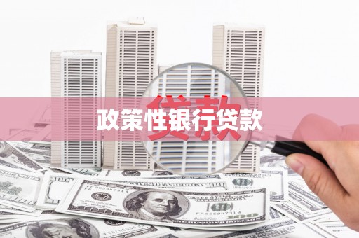 射洪政策性银行贷款