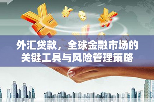 射洪外汇贷款，全球金融市场的关键工具与风险管理策略