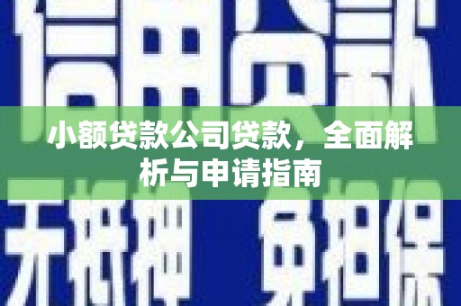 射洪小额贷款公司贷款，全面解析与申请指南