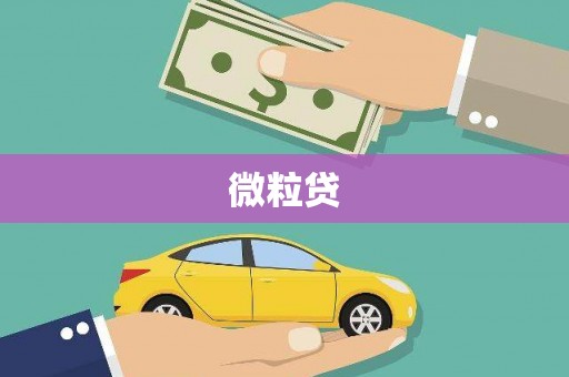 射洪微粒贷
