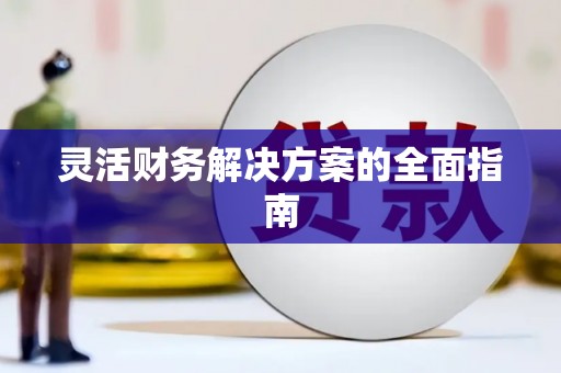 射洪灵活财务解决方案的全面指南