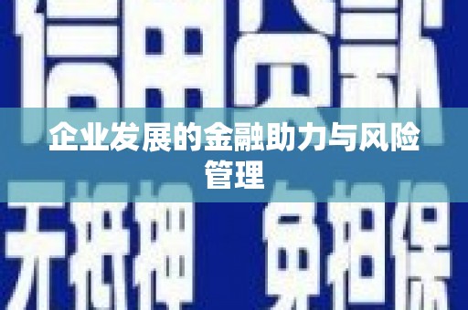 射洪企业发展的金融助力与风险管理