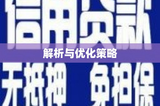 射洪解析与优化策略
