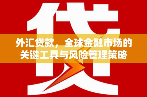 射洪外汇贷款，全球金融市场的关键工具与风险管理策略