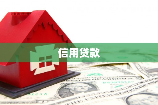 射洪信用贷款