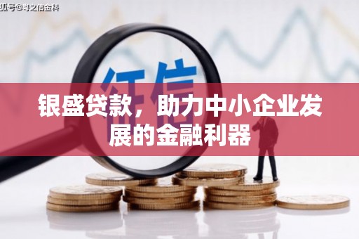射洪银盛贷款，助力中小企业发展的金融利器
