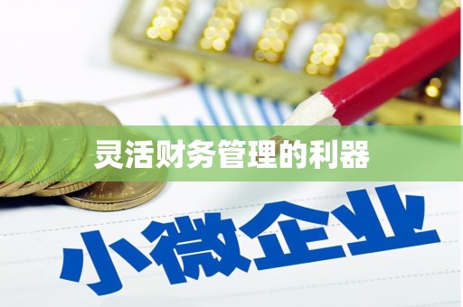 射洪灵活财务管理的利器