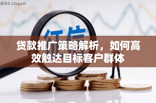 射洪贷款推广策略解析，如何高效触达目标客户群体
