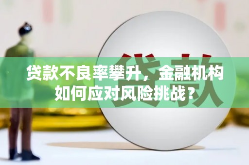 射洪贷款不良率攀升，金融机构如何应对风险挑战？
