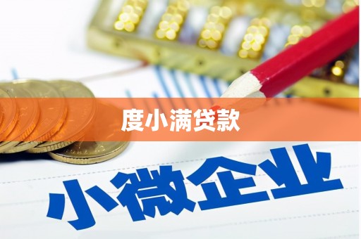 射洪度小满贷款