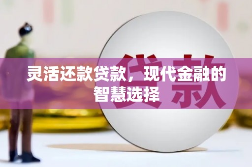 射洪灵活还款贷款，现代金融的智慧选择
