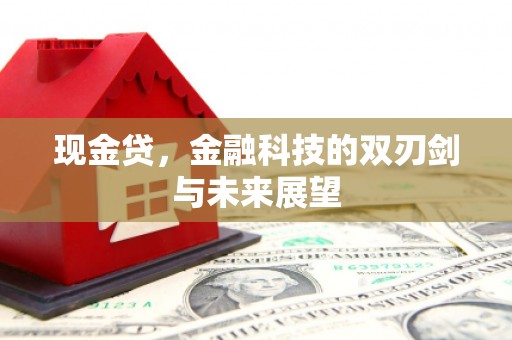 射洪现金贷，金融科技的双刃剑与未来展望