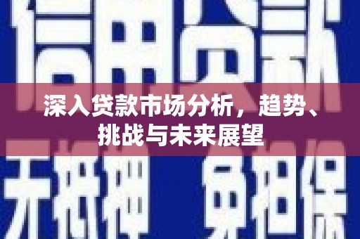 射洪深入贷款市场分析，趋势、挑战与未来展望