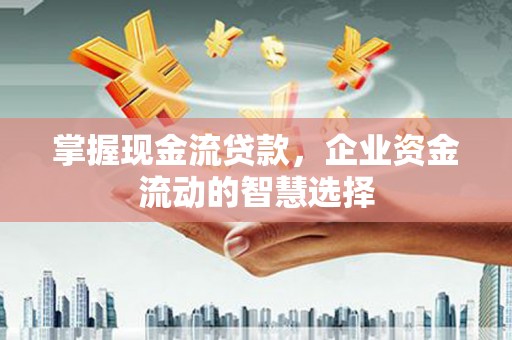 射洪掌握现金流贷款，企业资金流动的智慧选择