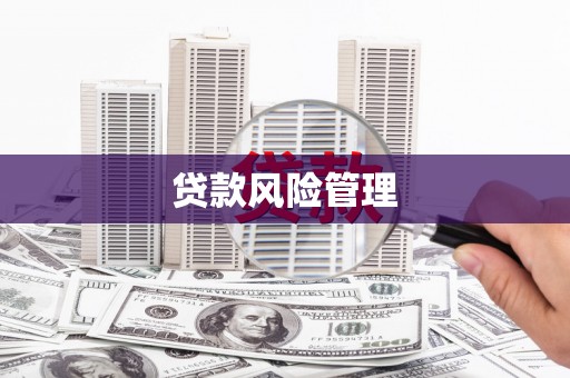 射洪贷款风险管理