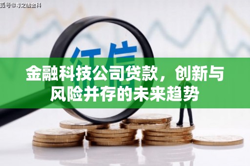 射洪金融科技公司贷款，创新与风险并存的未来趋势