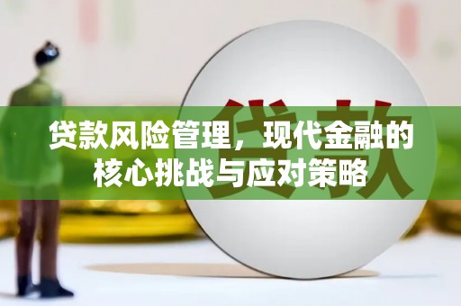 射洪贷款风险管理，现代金融的核心挑战与应对策略