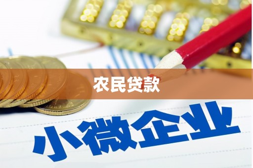 射洪农民贷款