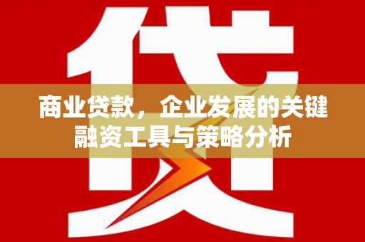 射洪商业贷款，企业发展的关键融资工具与策略分析