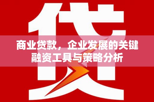 射洪商业贷款，企业发展的关键融资工具与策略分析