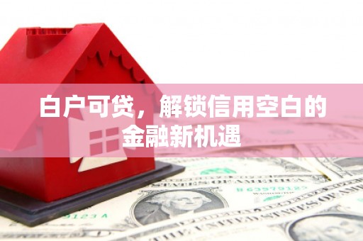射洪白户可贷，解锁信用空白的金融新机遇