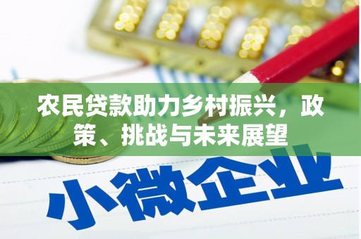 射洪农民贷款助力乡村振兴，政策、挑战与未来展望