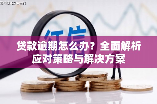 射洪贷款逾期怎么办？全面解析应对策略与解决方案
