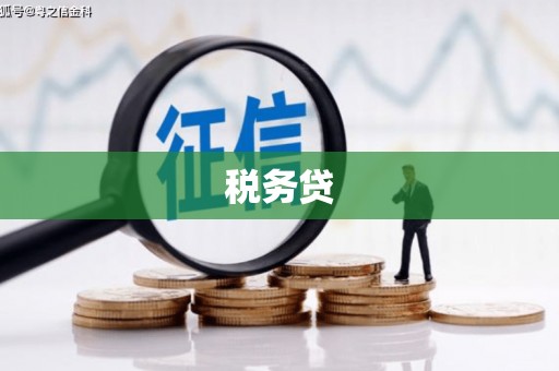 射洪税务贷