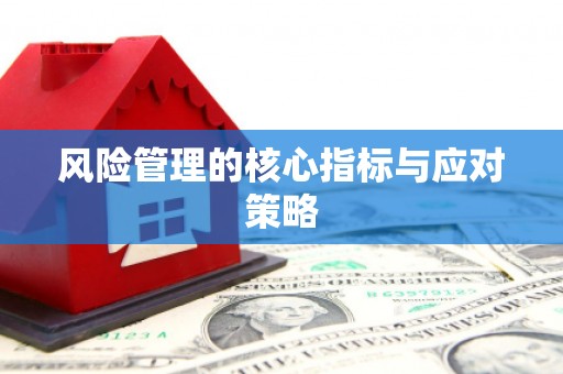 射洪风险管理的核心指标与应对策略