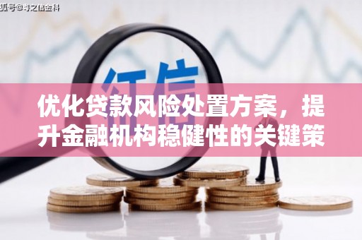 射洪优化贷款风险处置方案，提升金融机构稳健性的关键策略
