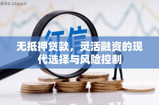 射洪无抵押贷款，灵活融资的现代选择与风险控制