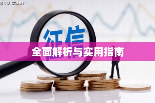 射洪全面解析与实用指南