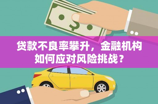 射洪贷款不良率攀升，金融机构如何应对风险挑战？