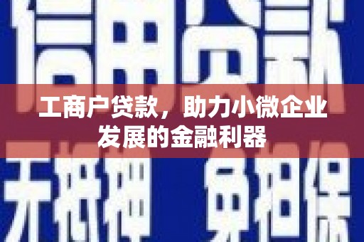 射洪工商户贷款，助力小微企业发展的金融利器