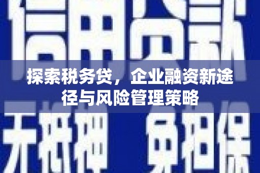 射洪探索税务贷，企业融资新途径与风险管理策略
