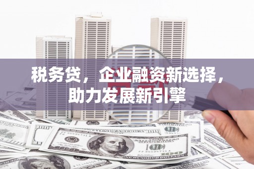 射洪税务贷，企业融资新选择，助力发展新引擎