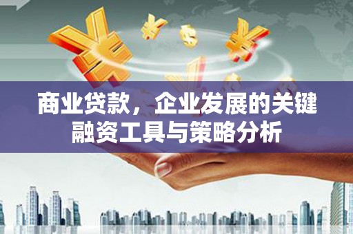 射洪商业贷款，企业发展的关键融资工具与策略分析