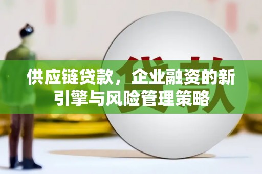 射洪供应链贷款，企业融资的新引擎与风险管理策略