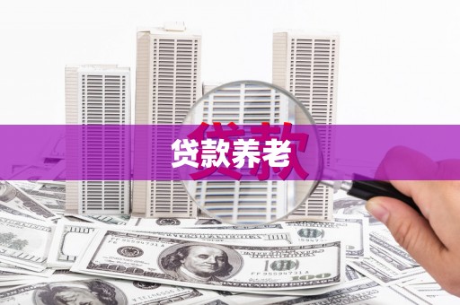 射洪贷款养老