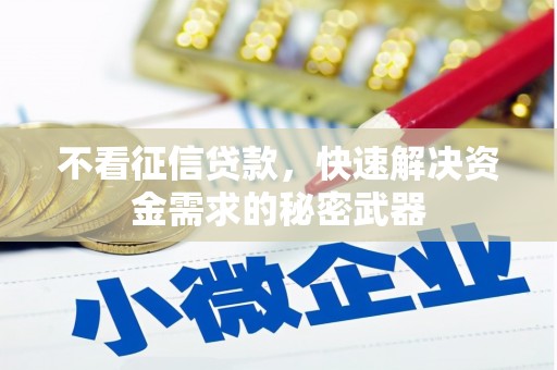 射洪不看征信贷款，快速解决资金需求的秘密武器