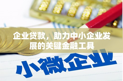 射洪企业贷款，助力中小企业发展的关键金融工具