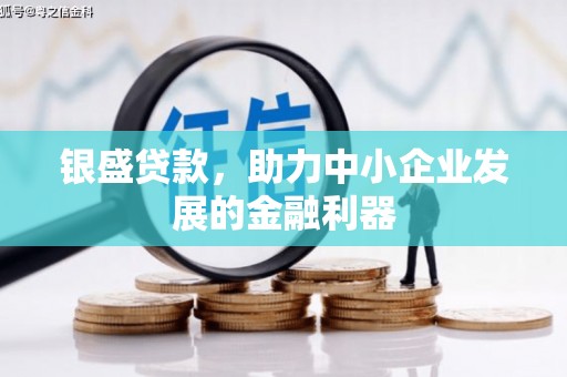 射洪银盛贷款，助力中小企业发展的金融利器