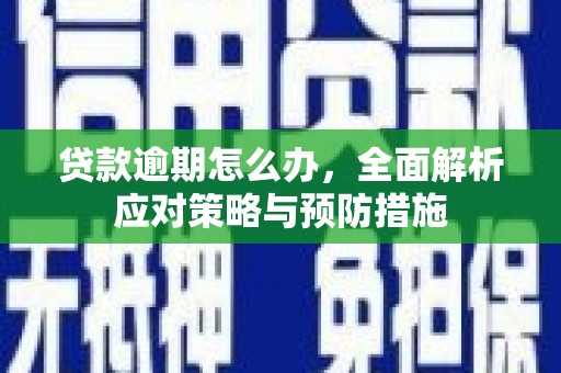 射洪贷款逾期怎么办，全面解析应对策略与预防措施