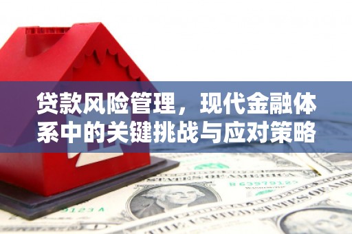 射洪贷款风险管理，现代金融体系中的关键挑战与应对策略