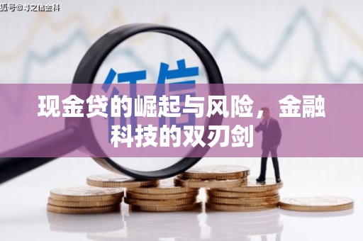 射洪现金贷的崛起与风险，金融科技的双刃剑