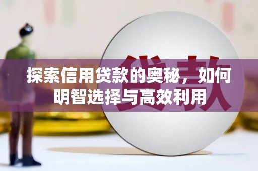 射洪探索信用贷款的奥秘，如何明智选择与高效利用